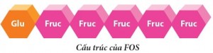 fos-fructo-oligo-saccharide-1
