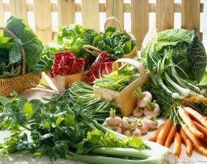 Selection of Early Vegetables